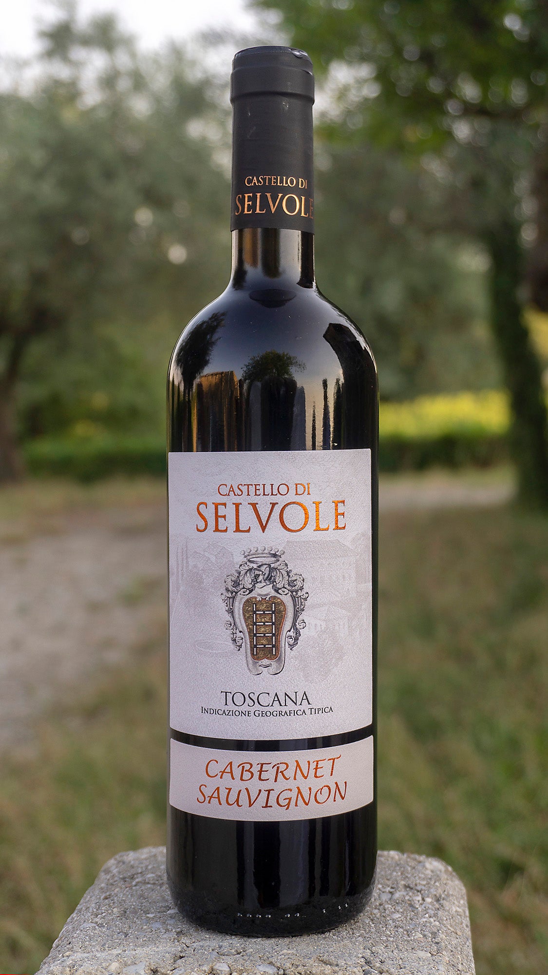 Cabernet Sauvignon IGT 2019