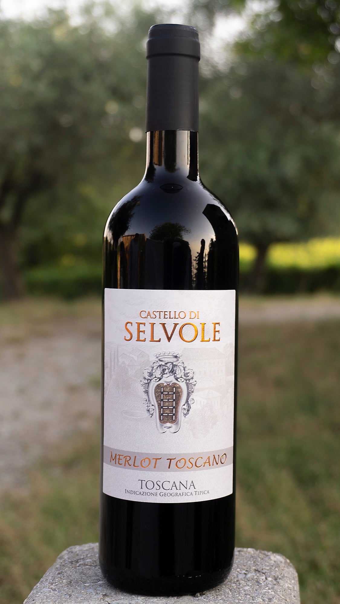 Merlot IGT 2019